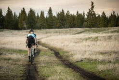 Shimano GRX FC-RX810 Manivelle 1x11 Vitesses 42 -Vélos Matériel Magasin GRX d4JdUHTvxQJmdW