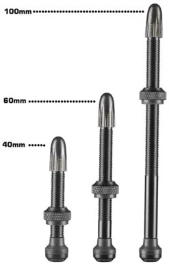 Schwalbe Valves Tubeless